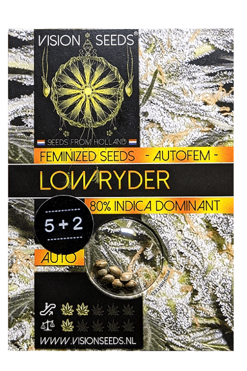 Cannabis Samen Lowryder