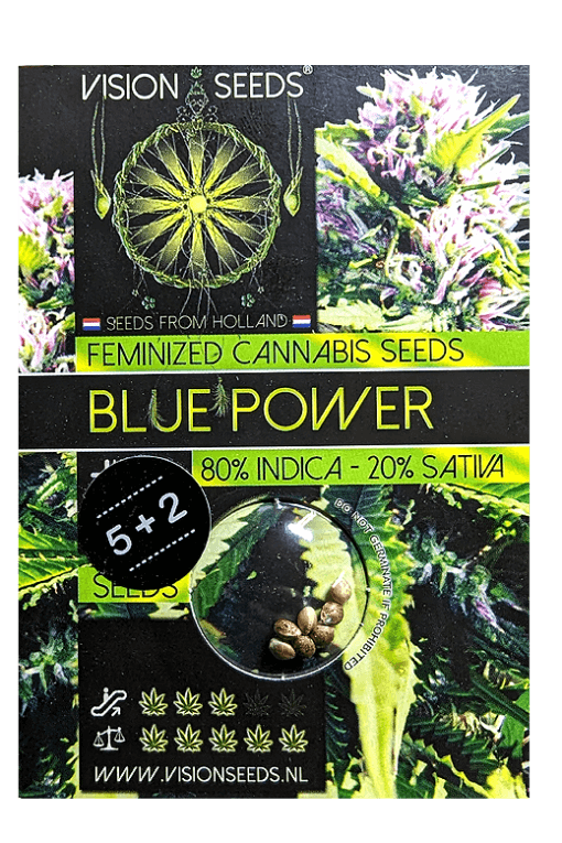 Samen Seeds Blue Power