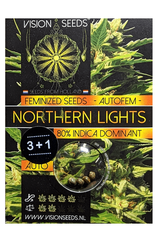 Northern Lights Auto Samen