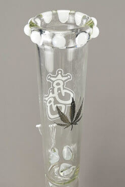 White-Tulip-Bong-Rueckseite